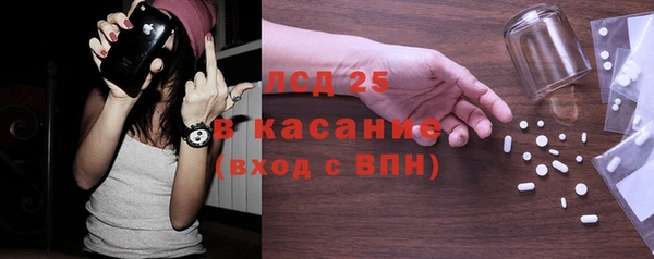 прущие грибы Вяземский