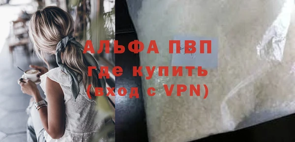 прущие грибы Вяземский