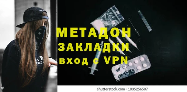 прущие грибы Вяземский
