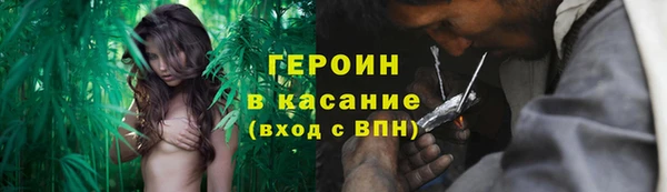 прущие грибы Вяземский