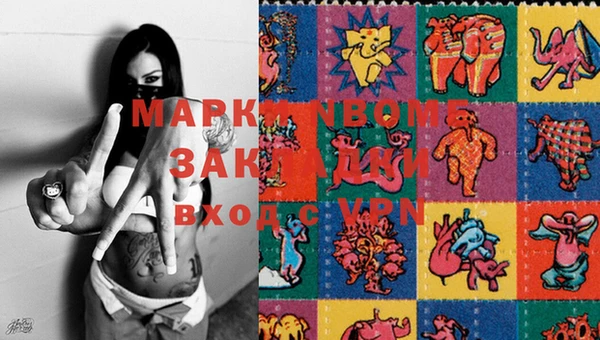 прущие грибы Вяземский