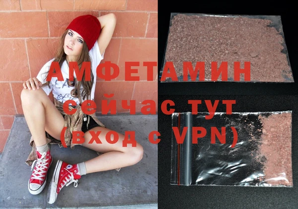 прущие грибы Вяземский