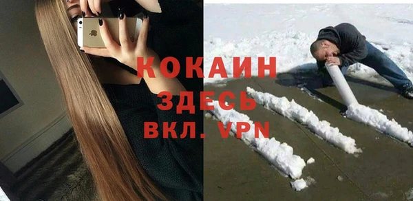 прущие грибы Вяземский