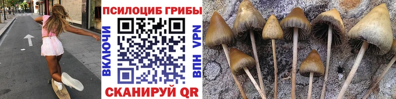 Галлюциногенные грибы мицелий  Звенигово 